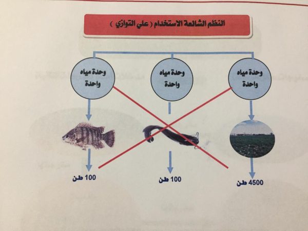 "الكرام" زرعوا الصحراء بــ"مياه الاسماك "